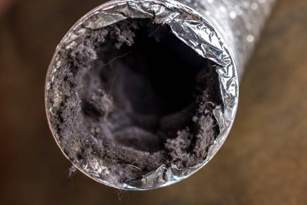 Best Air Duct Cleaning Near Me  in Harrisburg, IL